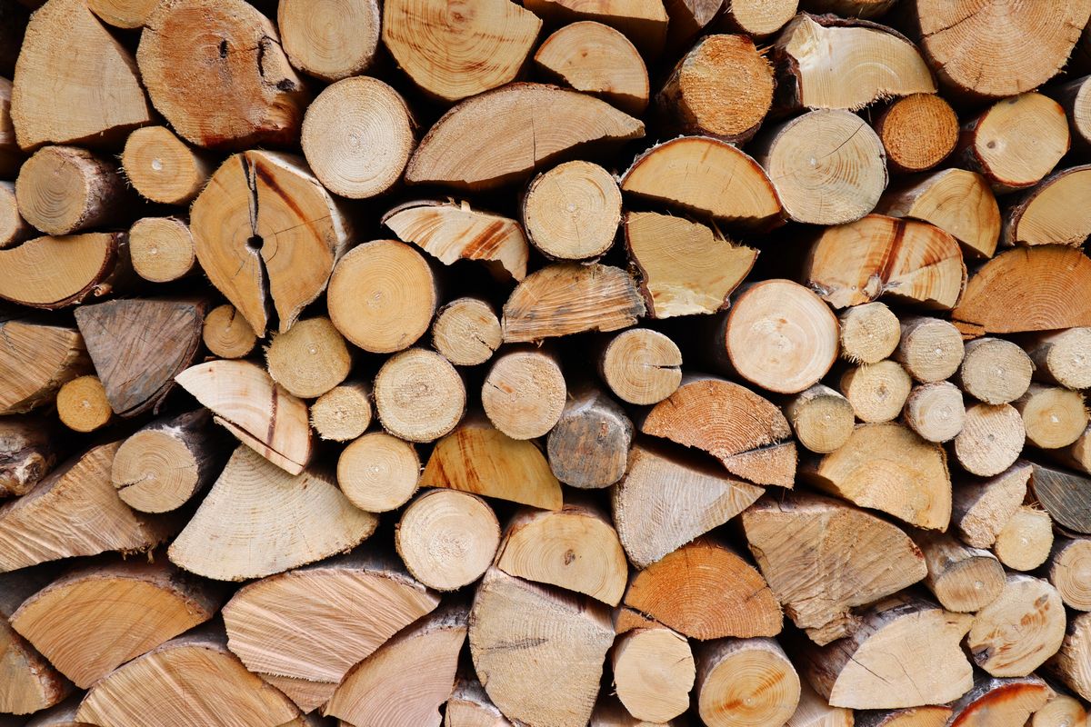 Stacked logs Stacked cut firewood logs
